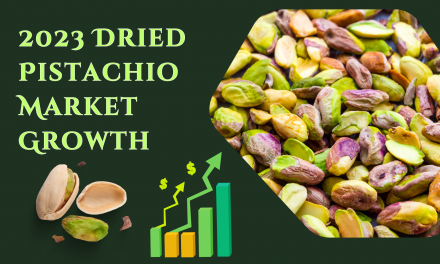 2023 Dried Pistachio Market Shows Remarkable Growth