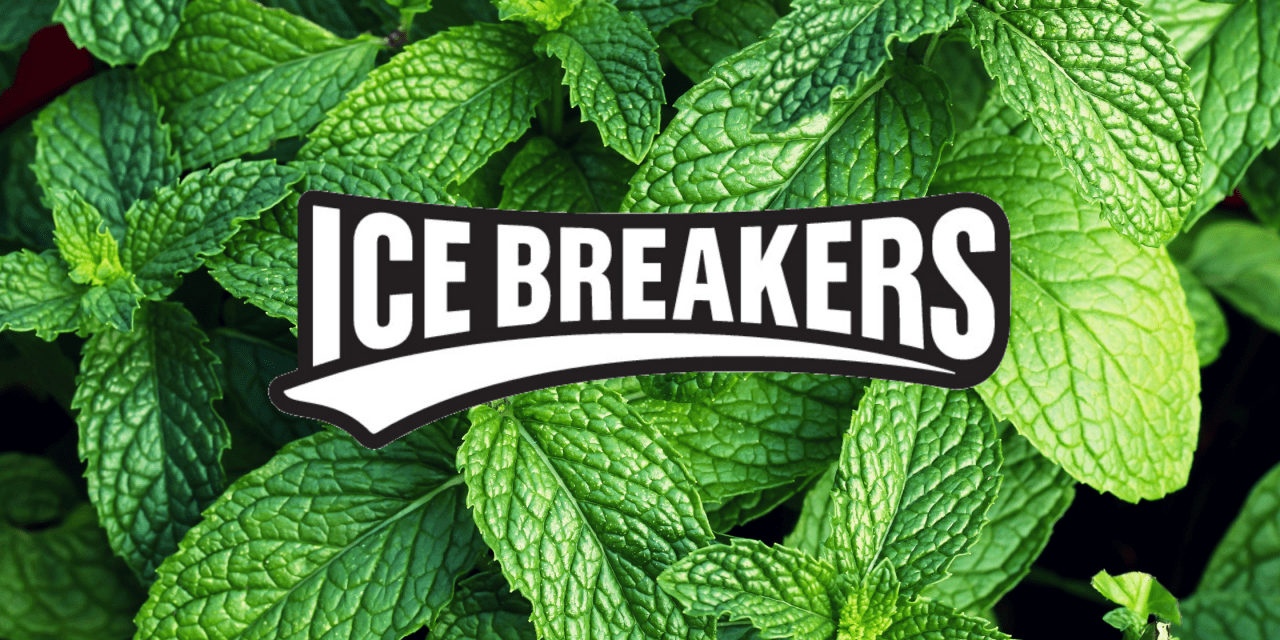 Discover All Flavors Available From Ice Breakers Chewing Gum