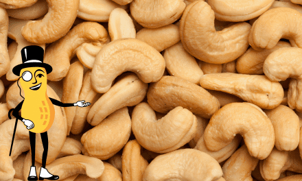 Discover All the Joys and Wonders of Planter’s Cashews