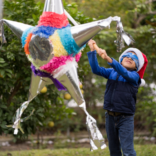 Fill a Pinata - Candy Retailer Fill a Pinata