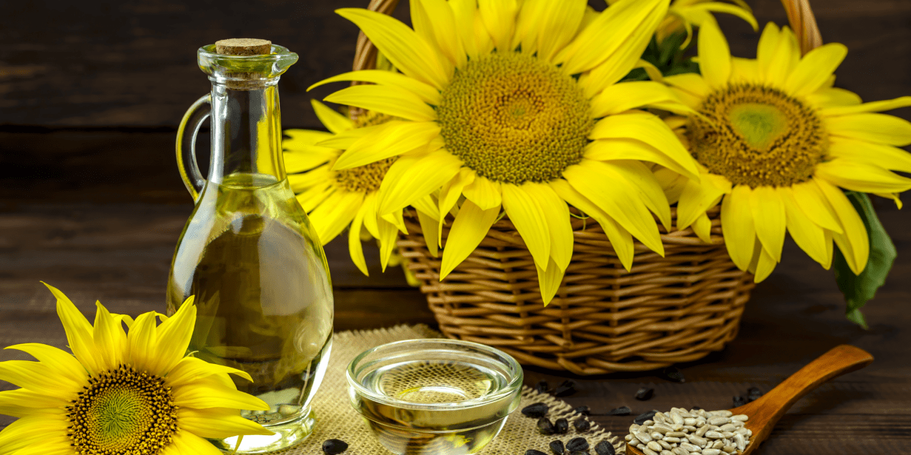 The Nutritional Power and Significance of Sunflower Seeds