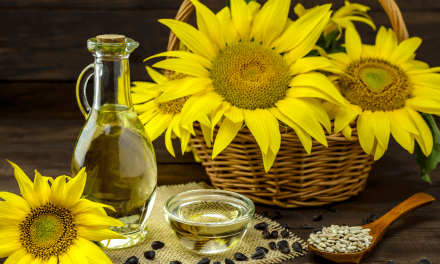 The Nutritional Power and Significance of Sunflower Seeds