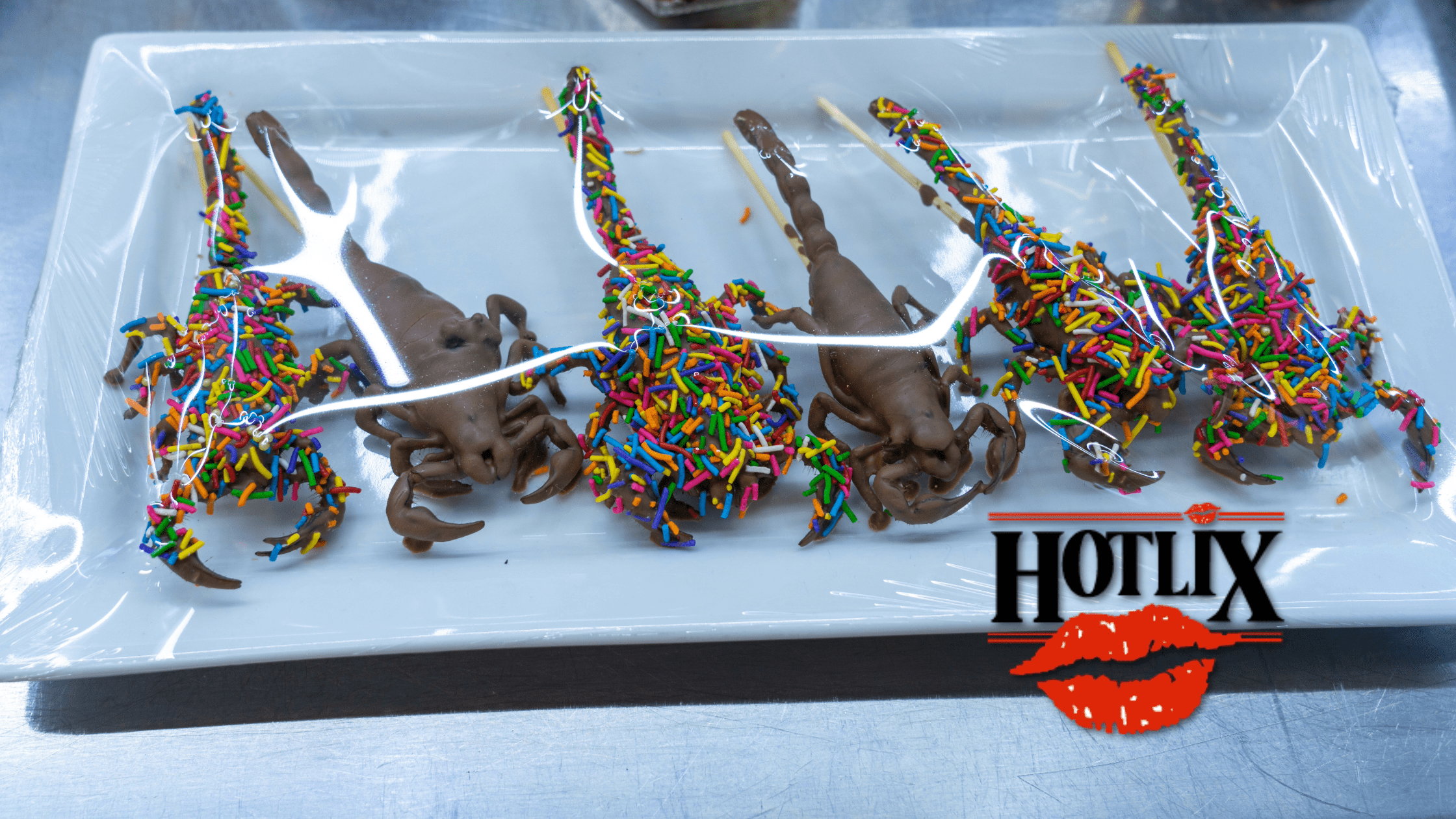Discover America’s Most Daring Edible Insect Candy