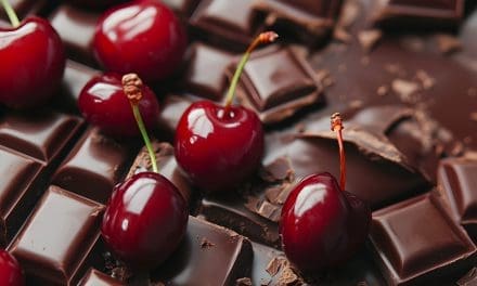 Top 10 Best Chocolate Covered Cherries Americans Love