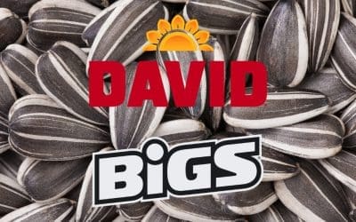 David Vs. Big’s Sunflower Seeds: Who Has the Best?