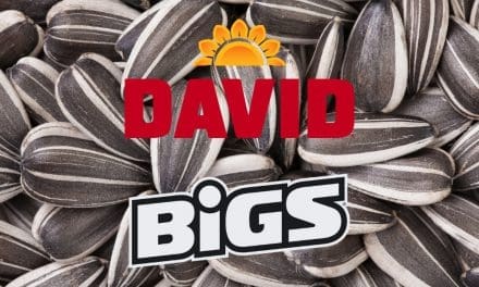 David Vs. Big’s Sunflower Seeds: Who Has the Best?